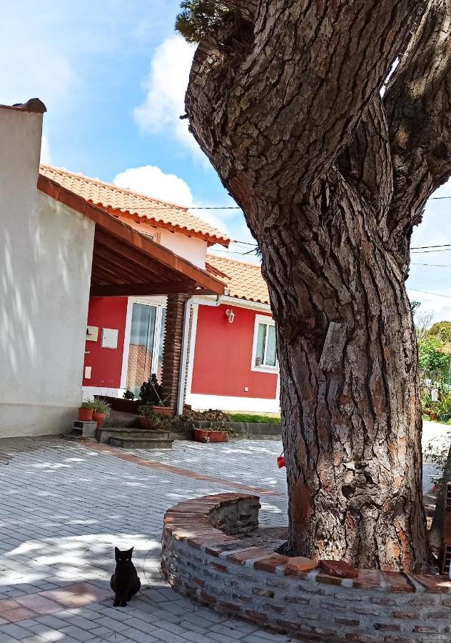 Casa De Campo A 5 Minutos Da Praia Atouguia Da Baleia Extérieur photo